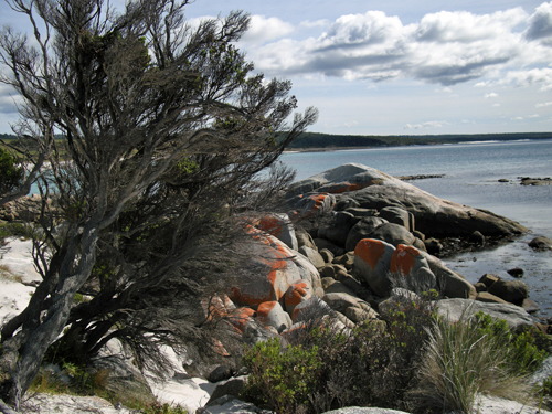 Bay of Fires 