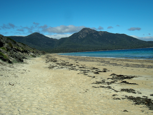 Freycinet National Park - Oyster Bay