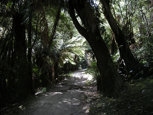 Mount Field Nationalpark