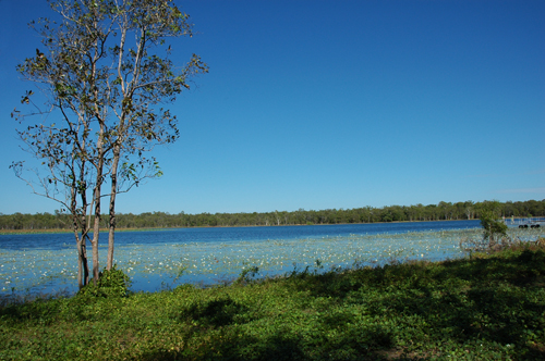 Billabong Kakadu Nationalpark