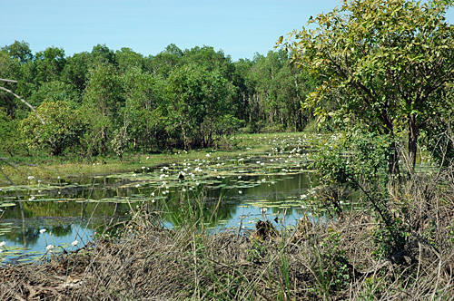 Kakadu Nationalpark