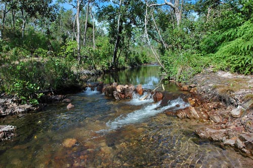 Walker Creek