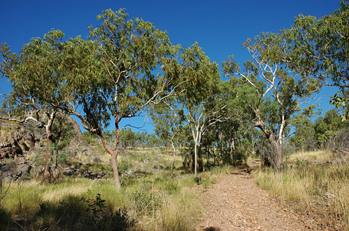 Butterfly Gorge Walk