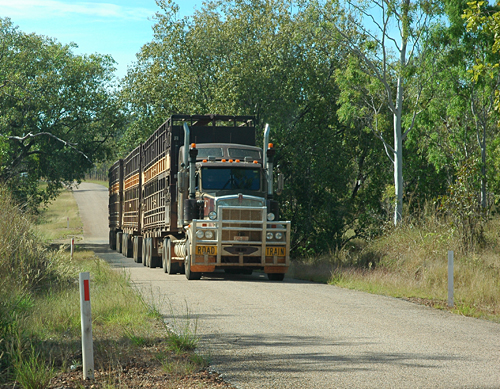 Road Train