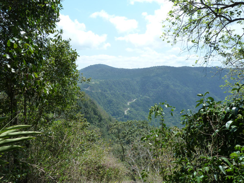 Whitsundays - Eungella Nationalpark