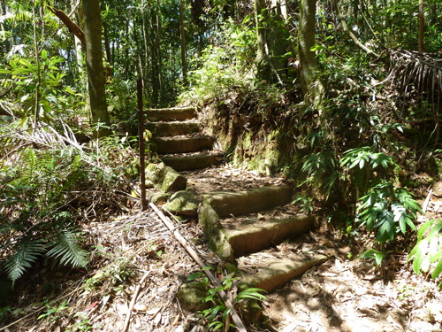 Whitsundays - Finch Hatton Gorge