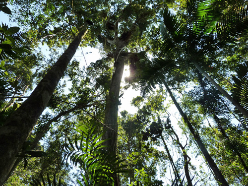 Whitsundays - Finch Hatton Gorge