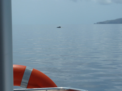 Whitsundays - Segeltörn