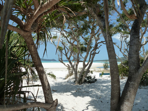 Whitsundays - Whitsunday Island - Whitehaven Beach
